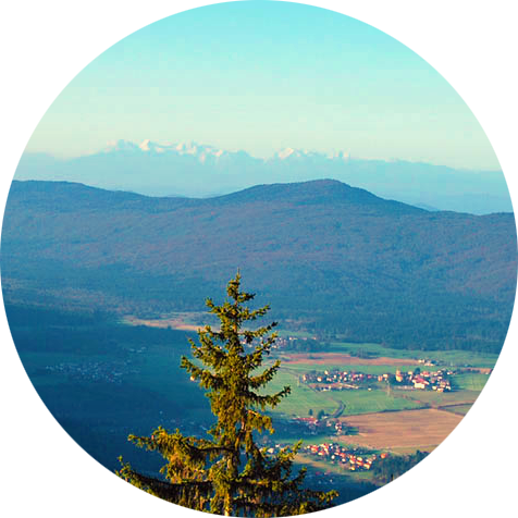 SLO - Mestni vrh